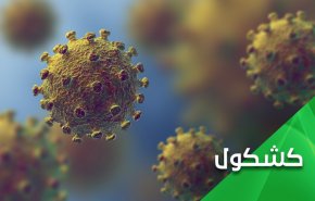 کرونا بین خفاش های چین و خفاش های آمریکا