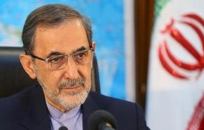 ولایتی: باید درجهت پیشرفت علمی، فرهنگی و پزوهشی گام برداشت
