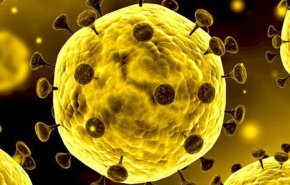 پس از افشاگری خبرنگار آمریکایی؛ چین خواهان افشای اطلاعات هیات ورزشی ارتش آمریکا در ووهان شد