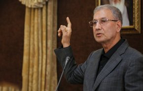 ربیعی: کمک‌ها و تجهیزات اهدایی پزشکان بدون مرز را استفاده می‌کنیم