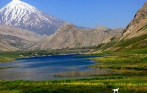 مرحله جدید مبارزه با کرونا/ اجرای طرح 