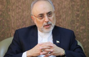 صالحی: آژانس نباید ابزار مکمل برای سرویس‌های جاسوسی کشورها باشد