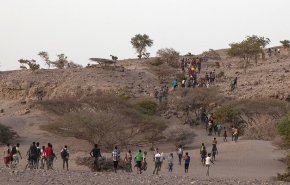 شاهد.. تدفق آلاف من المهاجرين الافارقة الى اليمن
