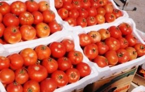 الأردن يوقف تصدير الغذاء