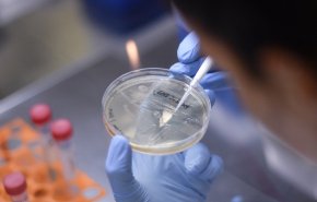 جامعة أكسفورد البريطانية تعلن عن موعد لقاح كورونا 