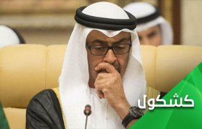 هذه هي مشكلة محمد بن زايد