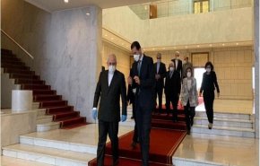 ظریف با بشار اسد و ولید معلم دیدار کرد
