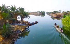 شاهد بالفيديو.. روسيا ايران وذهب الجنوب