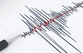 زلزله نسبتا شدیدی دو ایالت آمریکا را لرزاند