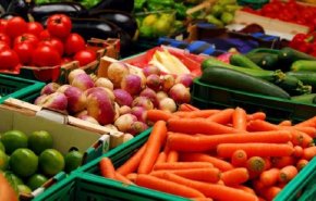 انخفاض تصدير الفواكه والخضار التركية الى العراق