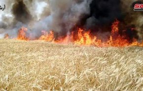 کشف بالن آتش‌زای آمریکایی در زمین‌های کشاورزی سوریه
