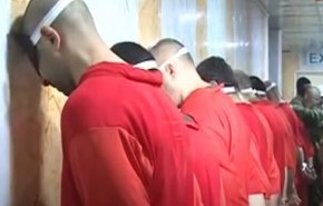 منبع عراقی: حکم اعدام سه هزار داعشی در عراق اجرایی نشده است
