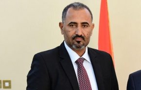 شورای انتقالی جنوب یمن خواستار تشکیل دولت جدید شد