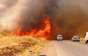 مقام سوری: آمریکایی‌ها مزارع گندم سوریه را آتش می‌زنند
