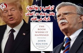 ویدئوگرافیک/ وقتی روباه در آغوش گرگ می افتد!