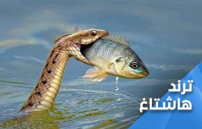 السعودية عدو تاريخي لليمن