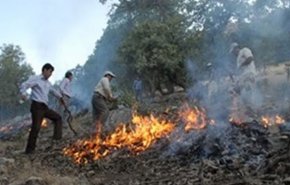 سیلی سرخ آتش بر دامان جنگل‌های اطراف گرگان