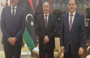 یونان بار دیگر حضور نظامی ترکیه در لیبی را محکوم کرد
