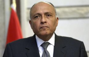 مصر: داعش به مناطق غربی لیبی بازگشته است