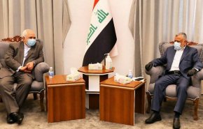 دیدار ظریف با هادی العامری
