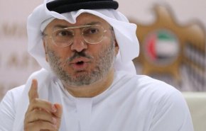 مقام اماراتی خطاب به ترکیه: در امور کشورهای عربی مداخله نکنید