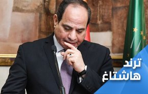 مغردون مصريون يدعون للوحدة ضد السيسي!