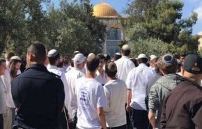 هتک حرمت مسجدالاقصی توسط 100 شهرک نشین صهیونیست
