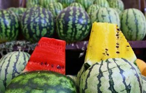 بطيخ أم شمام؟ الفاكهة الأكثر فائدة
