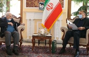 رفتار امارات در برقراری رابطه با رژیم صهیونیستی خطای راهبردی است