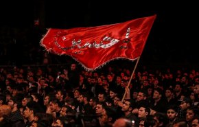 فیلم| شعرخوانی حاج محمود کریمی برای 