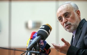 صالحی:فراتر از تعهداتمان، قطعا خواسته‌ای را نمی‌پذیریم
