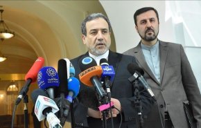عراقچی وارد وین شد
