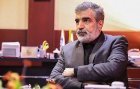 کمالوندی: توافق ایران و آژانس، نتیجه‌ای برد-برد است/ فعالیت‌های تولیدی غنی‌شده ادامه دارد