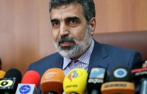 واکنش کمالوندی به خبر دومین بازدید آژانس: امیدوارم بهانه از آمریکا گرفته شده باشد
