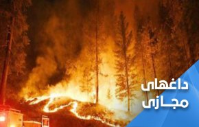 سوریه در آتش سوخت و دل مردمش با آن سوخت 