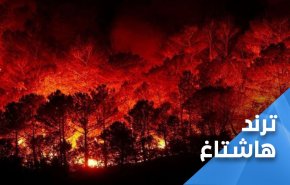 شاهد: هكذا تفاعل المشاهير مع الحرائق المشتعلة في سوريا 