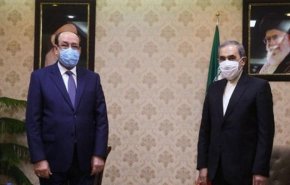 ولایتی: منطقه غرب آسیا متأثر از روابط برادرانه ایران و عراق است