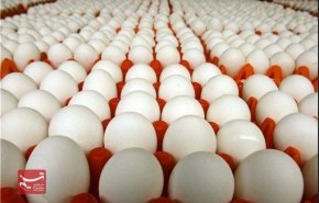 تخم مرغ، شانه‌ای ۲۶ هزار تومان شد