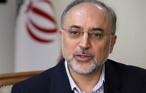 صالحی: آژانس اعلام کرده درخواست دیگری برای بازرسی ندارد