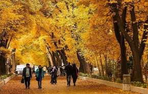با خوردن این مواد غذایی، خود را در برابر سرماخوردگی پاییز محافظت کنید