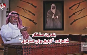 ویدئوگرافیک | بندر بن‌سلطان شاهزاده 