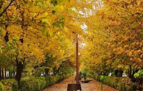 گرم شدن تدریجی دمای هوای کشور تا پایان هفته 