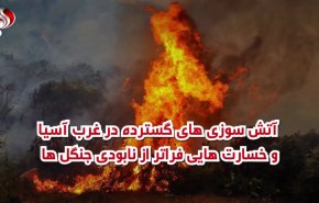 ویدئوگرافیک | آتش سوزی گسترده در غرب آسیا و خسارت هایی فراتر از نابودی جنگل 