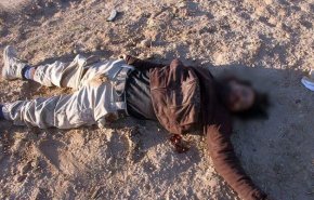 الحشد الشعبی: قاضی دادگاه داعش در دیاله کشته شد
