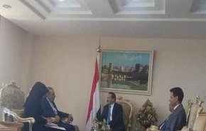 واکنش سفیر ایران در یمن پس از ارائه استوار نامه  