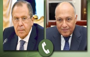روسیه و مصر ایجاد راه حل سیاسی برای لیبی و سوریه را بررسی کردند
