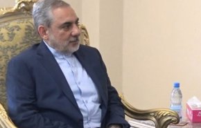 سفیر ایران در یمن استوارنامه خود را تسلیم کرد