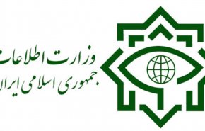 وزارت اطلاعات ۴ شبکه بزرگ قاچاق ارز را منهدم کرد
