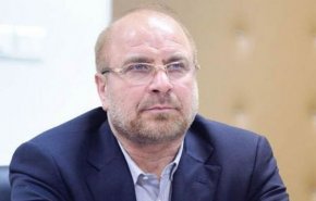 تست کرونا قالیباف منفی شد