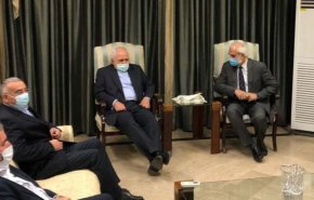 ظریف وارد اسلام آباد شد